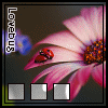 Avatars-flowers 129